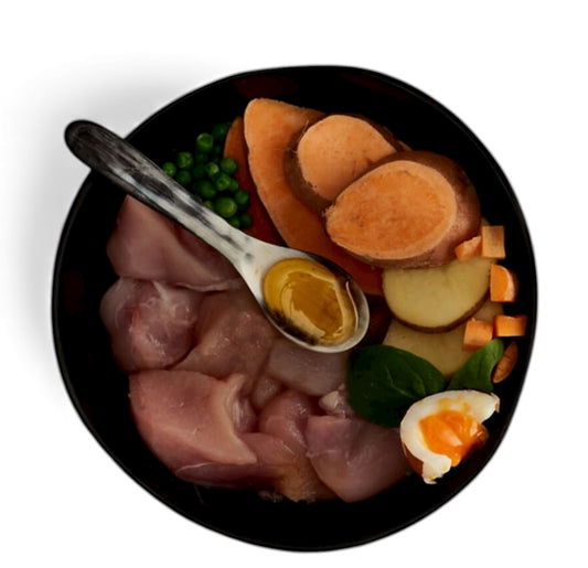 Canagan Dry Dog Food Dental 2kg