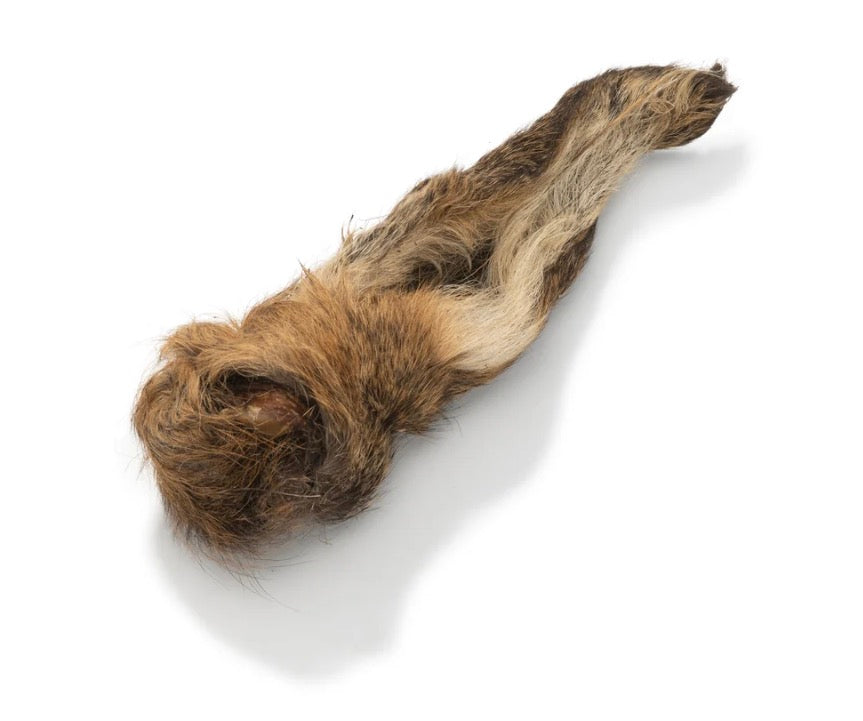 Venison Ear (hairy)