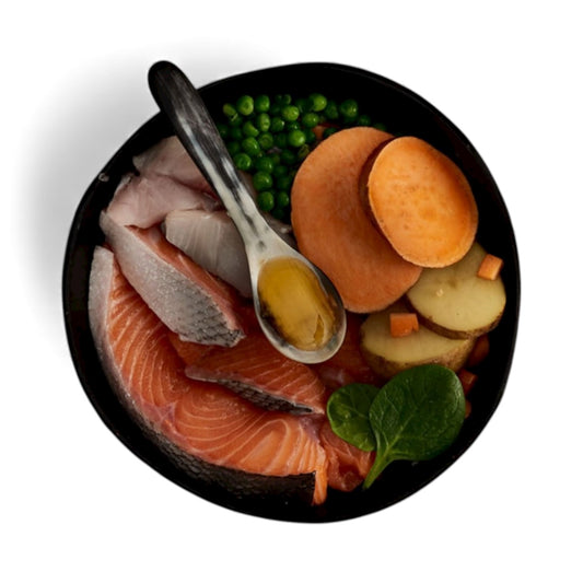 Canagan Dry Dog Food Scottish Salmon 2kg