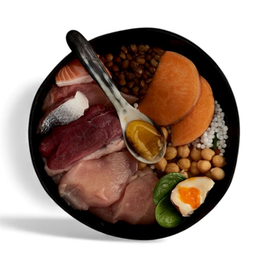 Canagan Dry Dog Food Highland Feast 2kg