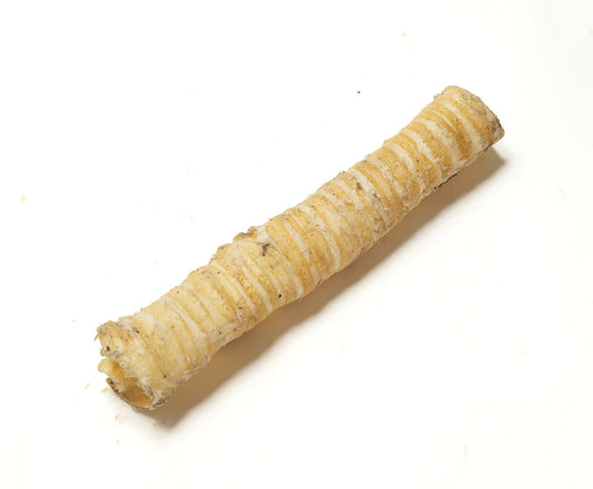 Trachea 30cm