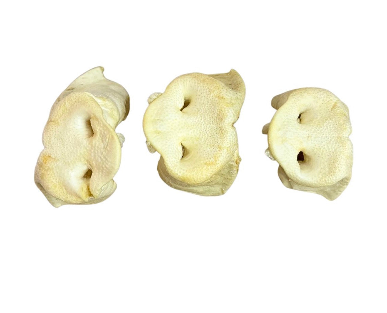 Puffed Pig Snouts