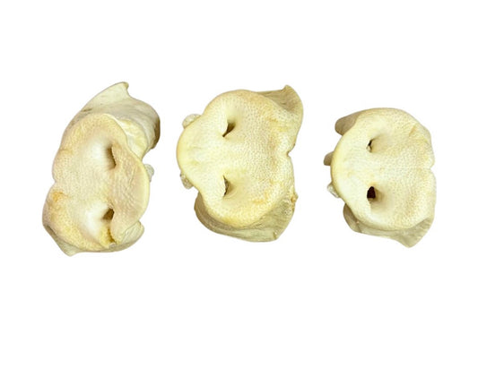 Puffed Pig Snouts