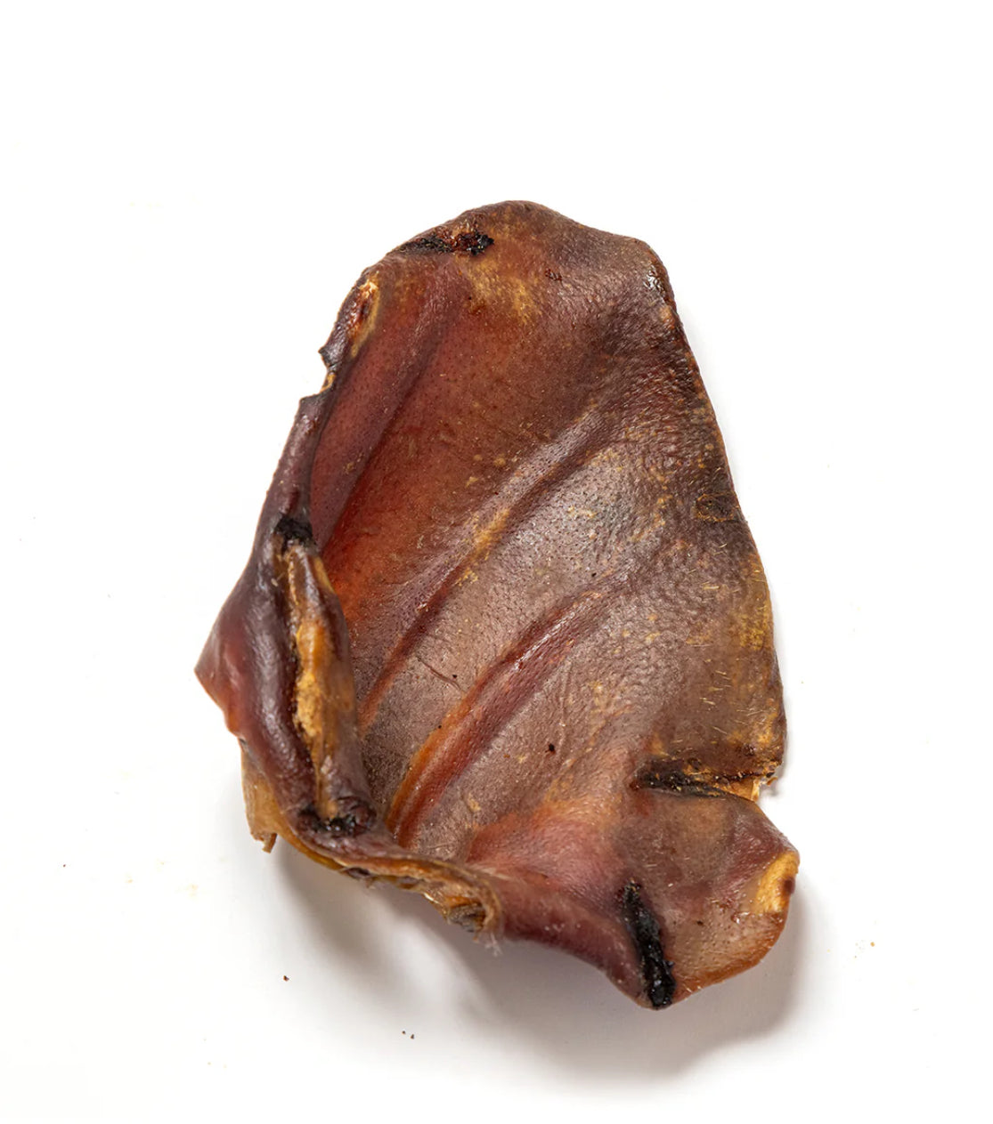 Pig Ear Single