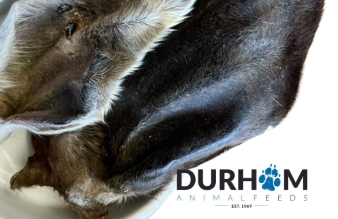 Cow Ear (with Hair) Dried