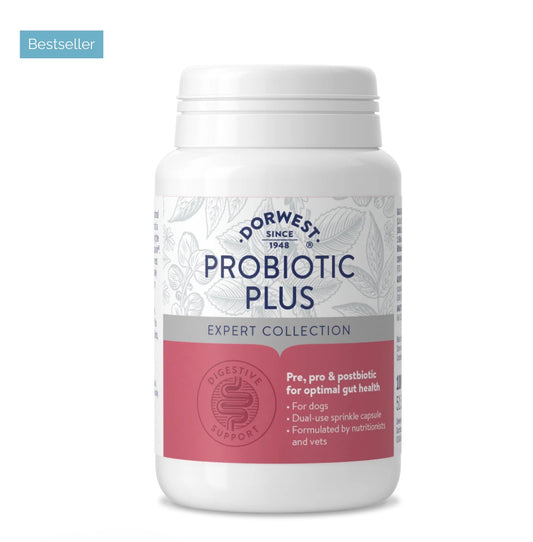 Probiotic Plus - 100t