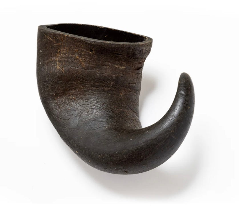 Large Buffalo Horn