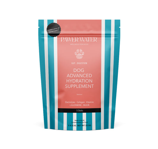 Pawer Water Gut Advanced Wellness Hydration for Dogs