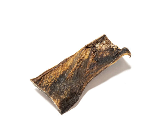 Camel skin