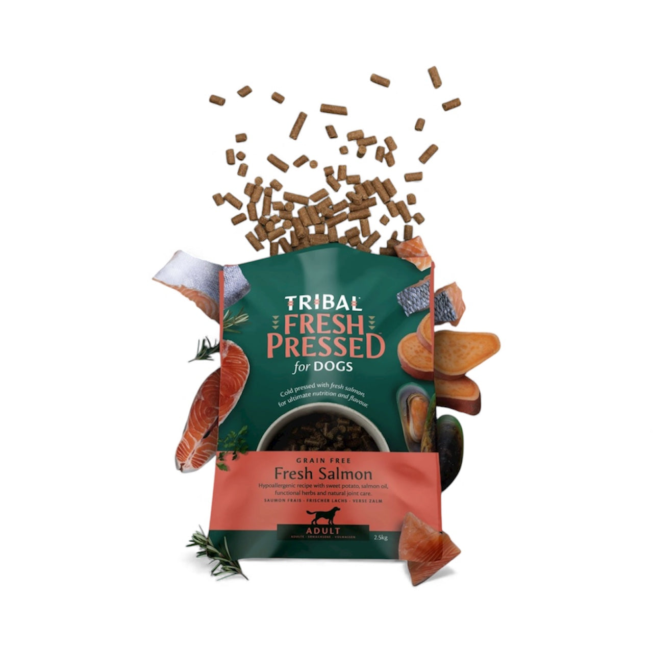 Tribal Cold Pressed Adult Salmon