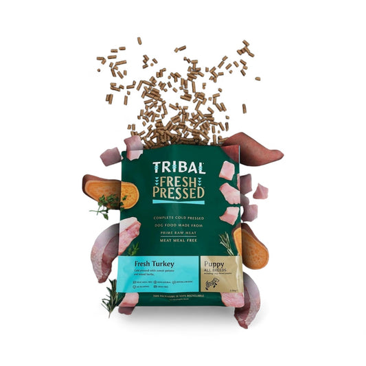 Tribal Pressed Puppy Turkey