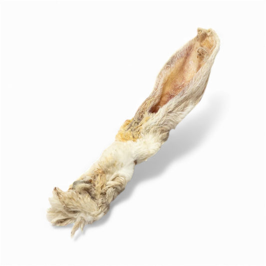 Hairy Rabbit Ears