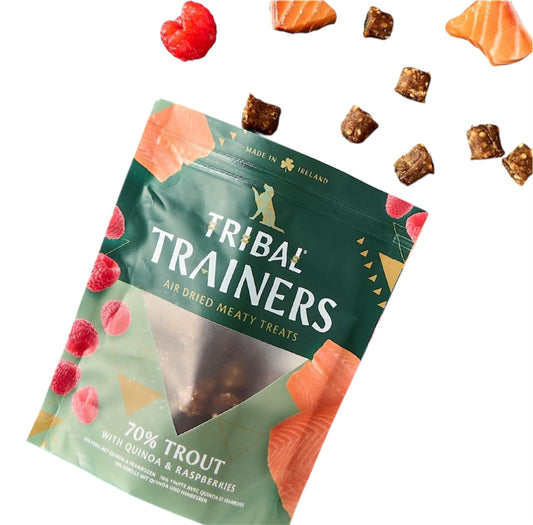 Tribal Trainers Trout & Raspberry