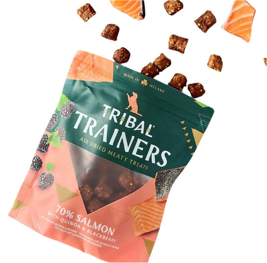 Tribal Trainers Salmon & BlackBerry