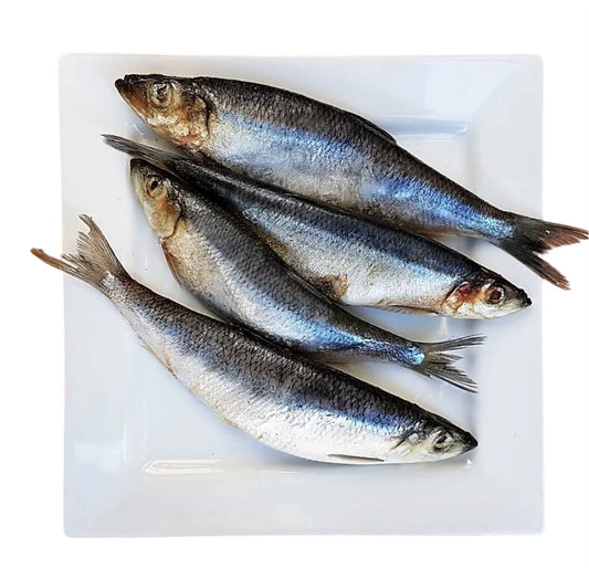 DG Whole Herring 1kg